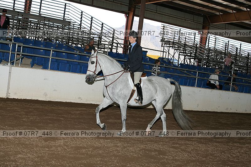 Proof 07r7_448