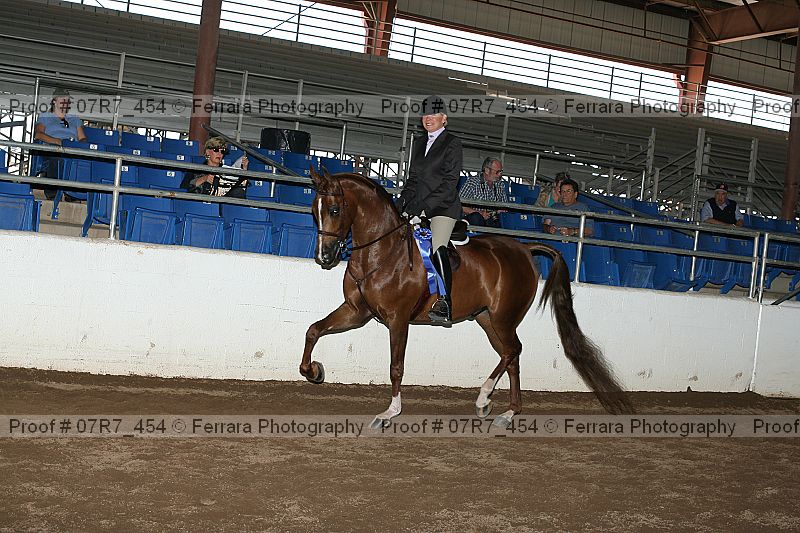 Proof 07r7_454