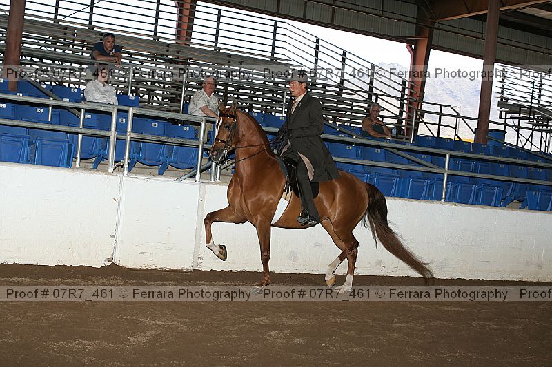 Proof 07r7_461