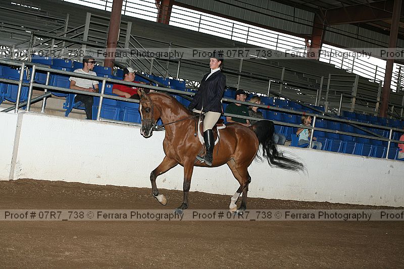 Proof 07r7_738