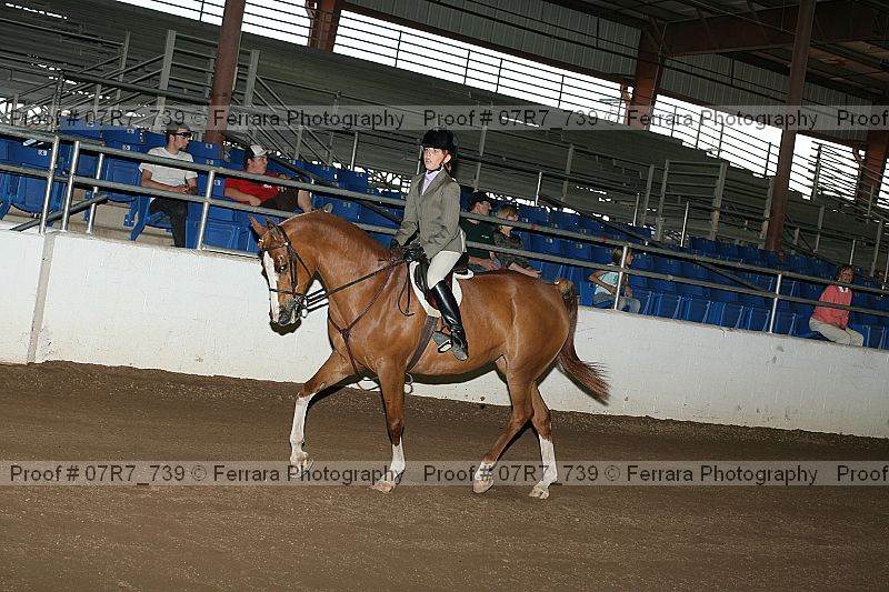 Proof 07r7_739