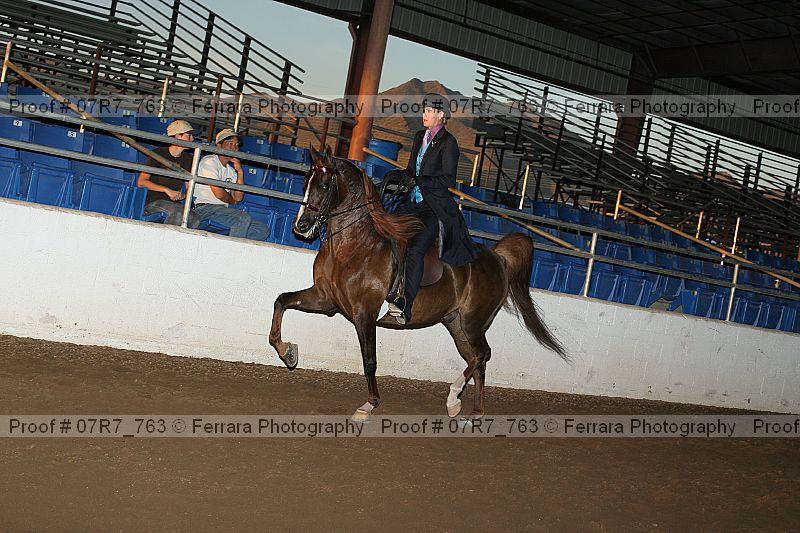 Proof 07r7_763