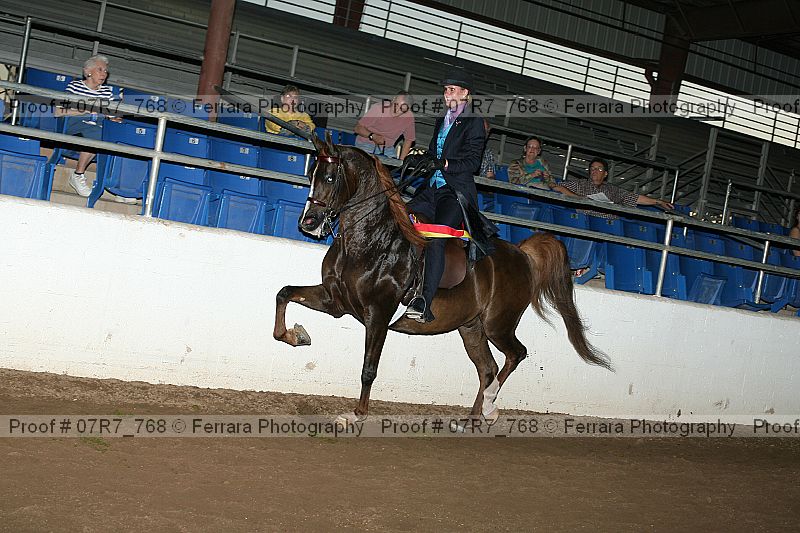 Proof 07r7_768