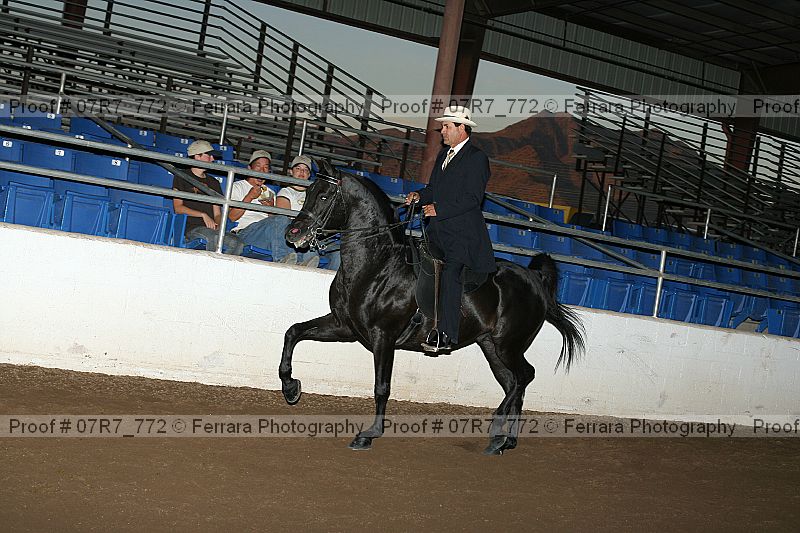 Proof 07r7_772