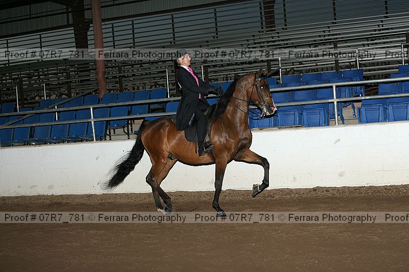 Proof 07r7_781