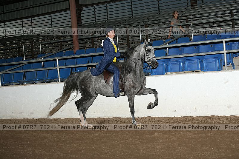Proof 07r7_782