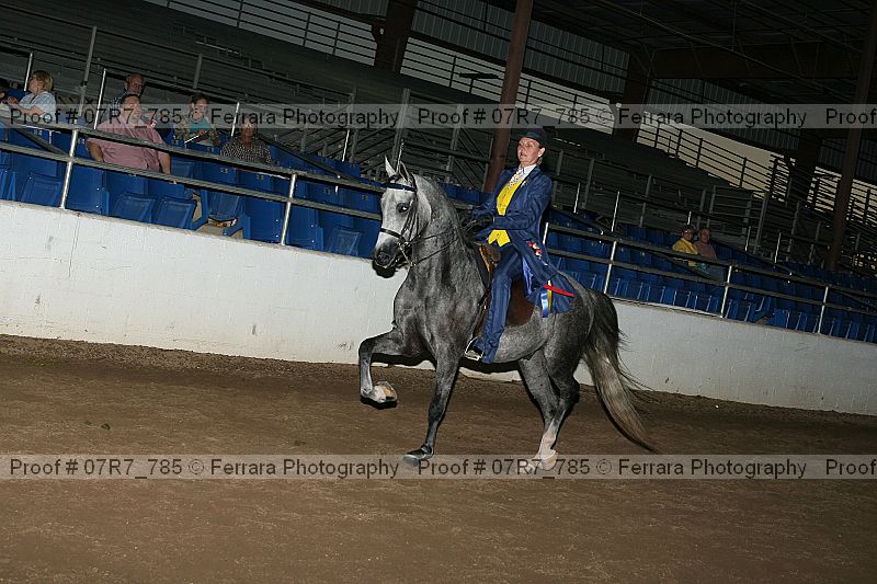 Proof 07r7_785