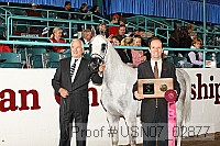 usn07_02877 proof