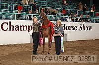 usn07_02891 proof