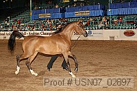 usn07_02897 proof