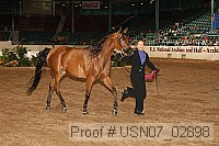 usn07_02898 proof
