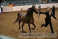 usn07_03876 proof