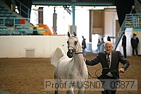 usn07_03877 proof