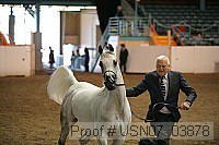 usn07_03878 proof