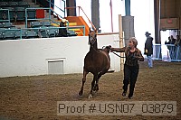 usn07_03879 proof
