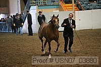 usn07_03880 proof