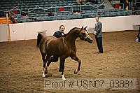 usn07_03881 proof
