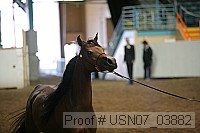 usn07_03882 proof