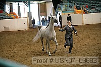 usn07_03883 proof