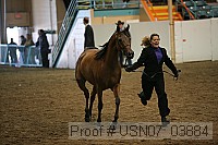 usn07_03884 proof