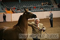 usn07_03885 proof