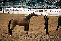 usn07_03886 proof