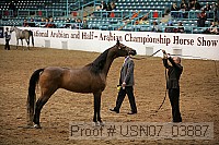 usn07_03887 proof