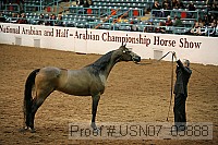 usn07_03888 proof