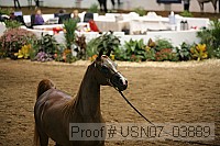 usn07_03889 proof