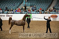 usn07_03890 proof