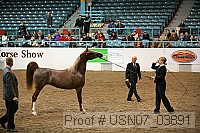 usn07_03891 proof