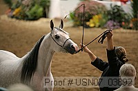usn07_03892 proof