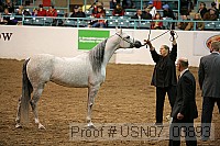 usn07_03893 proof