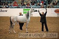 usn07_03894 proof