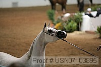 usn07_03895 proof