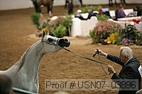 usn07_03896 proof