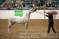 usn07_03898 proof