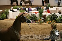usn07_03899 proof
