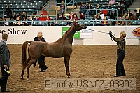 usn07_03901 proof
