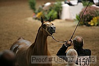 usn07_03903 proof