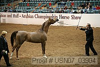 usn07_03904 proof