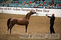 usn07_03905 proof