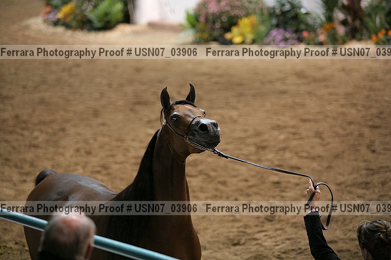 Proof usn07_03906