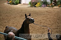 usn07_03906 proof