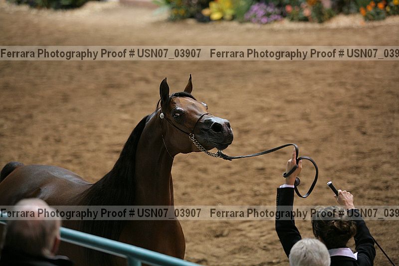 Proof usn07_03907