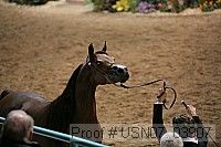 usn07_03907 proof