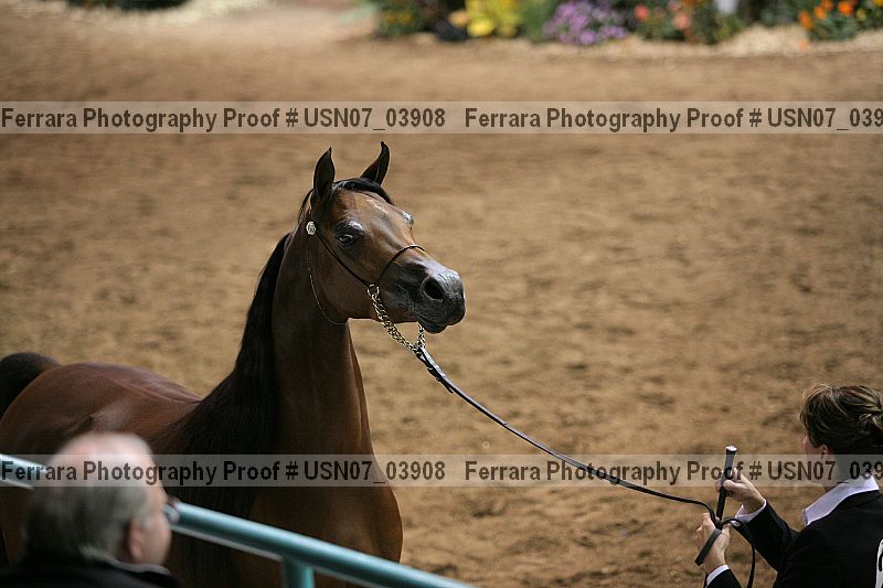 Proof usn07_03908