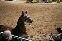 usn07_03908 proof