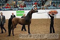 usn07_03909 proof