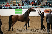 usn07_03910 proof
